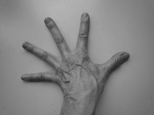 Hvordan til at tælle til 99 på fingrene. De følgende billeder viser de korrekte fingre udvidet, og resten krøllet til demonstration, til korrekt bruge disse teknikker imidlertid holde fingrene lige ud og placere de korrekte fingre på en flad overflade Må ikke krølle fingrene under dine hænder..